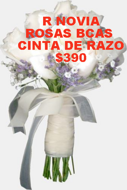 rosas bcas estatis gypshopylias $400