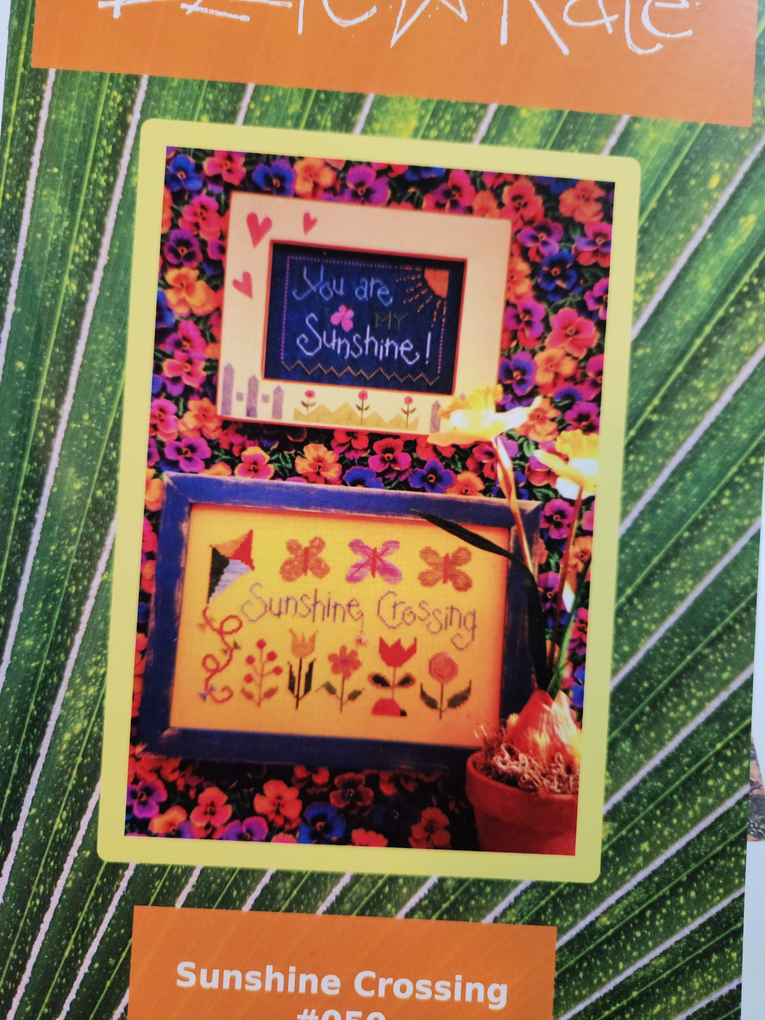 Sunshine Crossing - Lizzie Kate