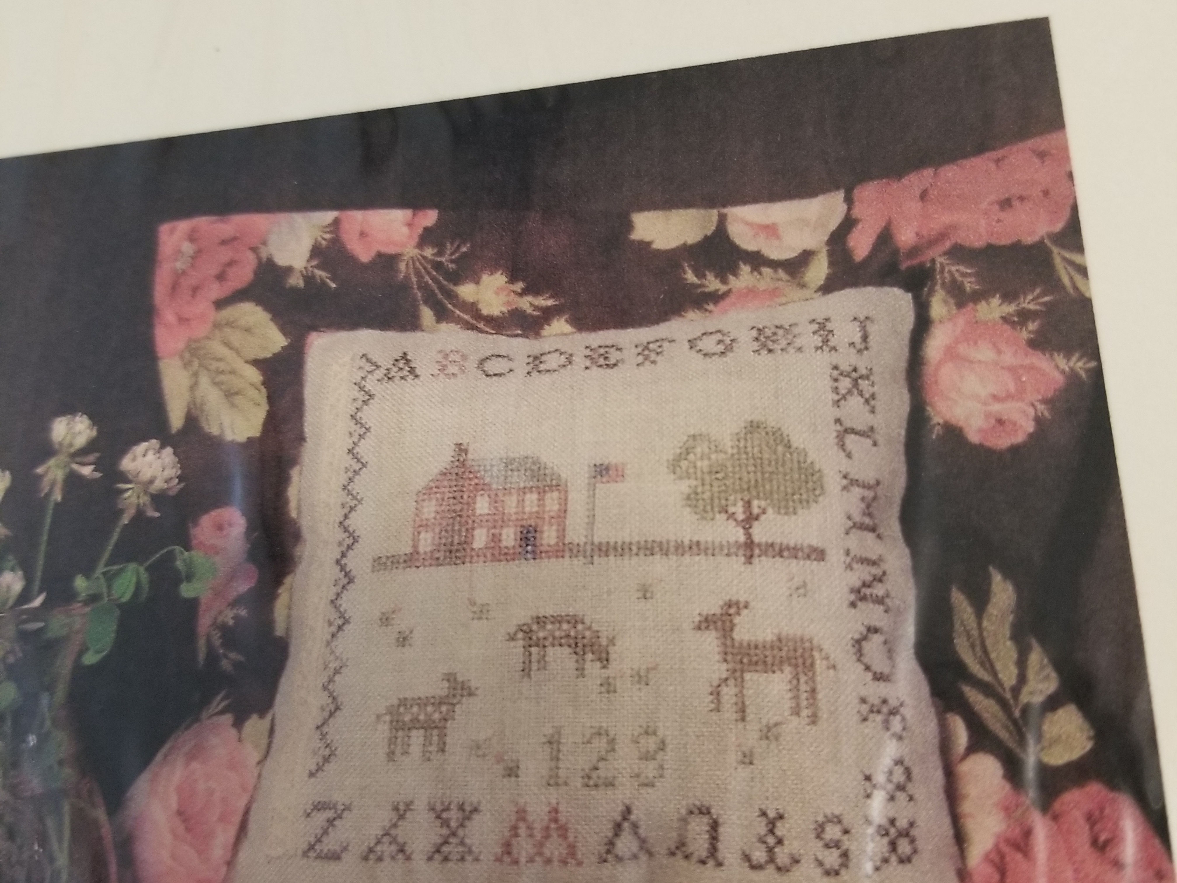 Fields of Clover - The Nebby Needle 