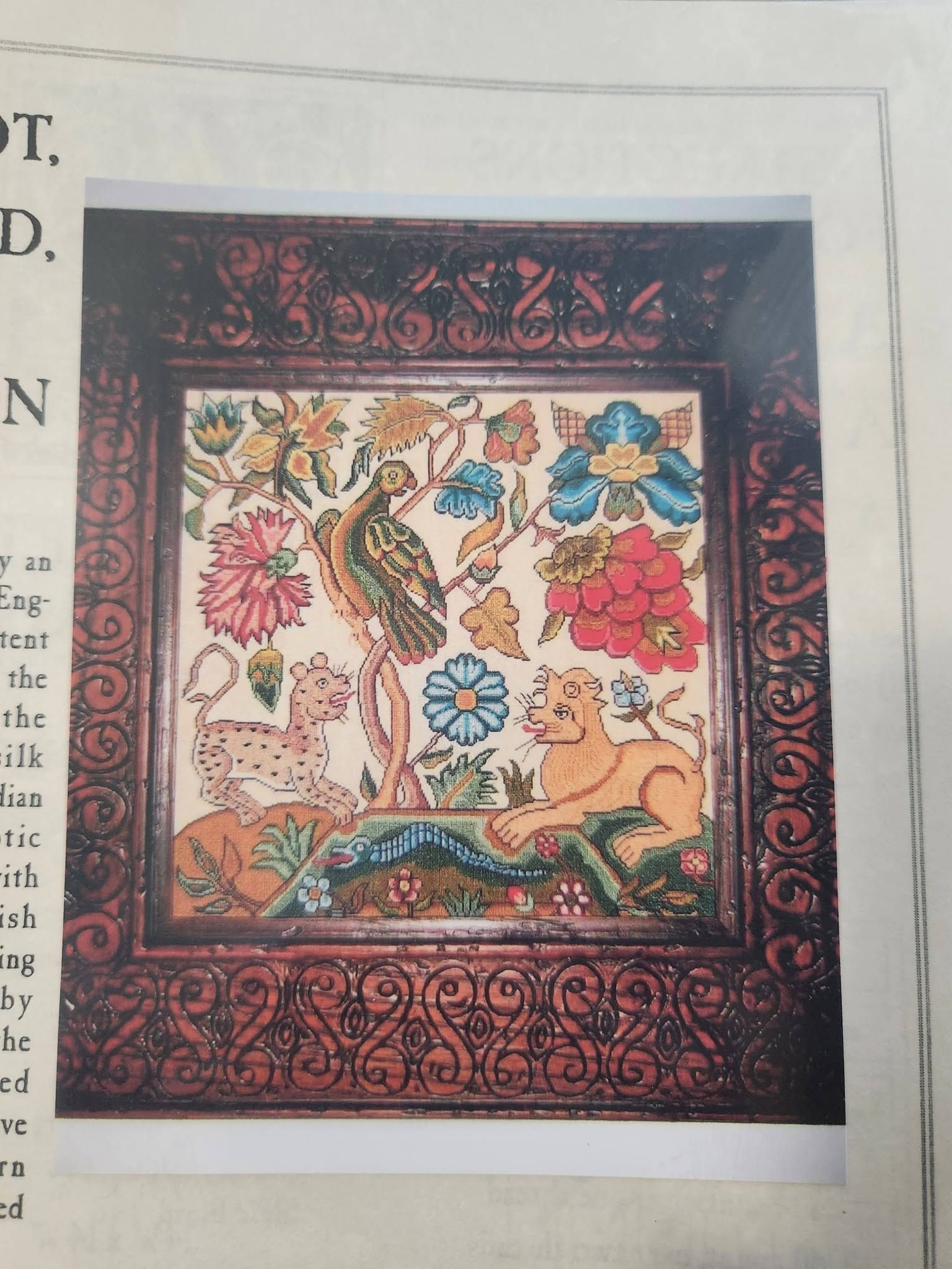 A Parrot, A Leopard, A Lion - The Scarlet Letter