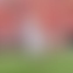 CFB: Week 3 preview, predictions