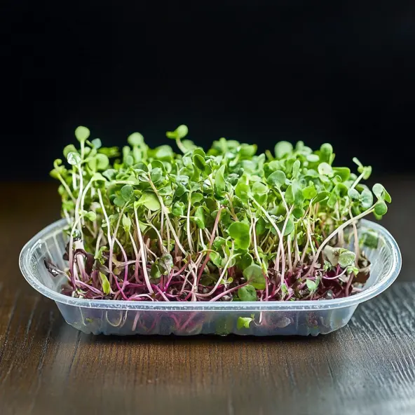 Super Food Microreen Mix