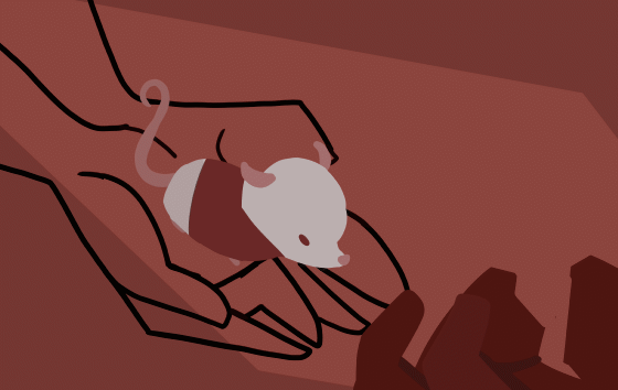 hand rat.gif