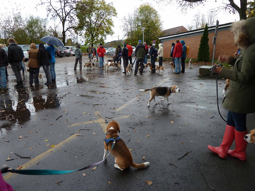 2013 11 03_4269.jpg