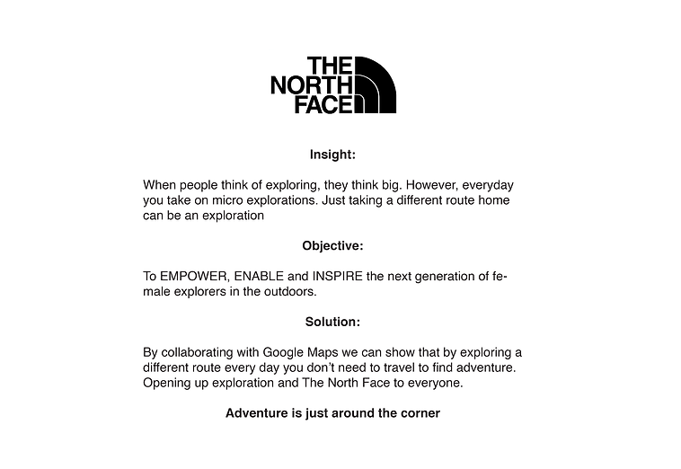 north face insights.png