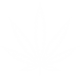 Alcohol Bottles Weed Vector Art
