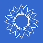 New Vision Logo