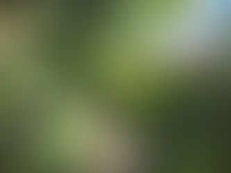 Sitting With What’s Right in Front of You