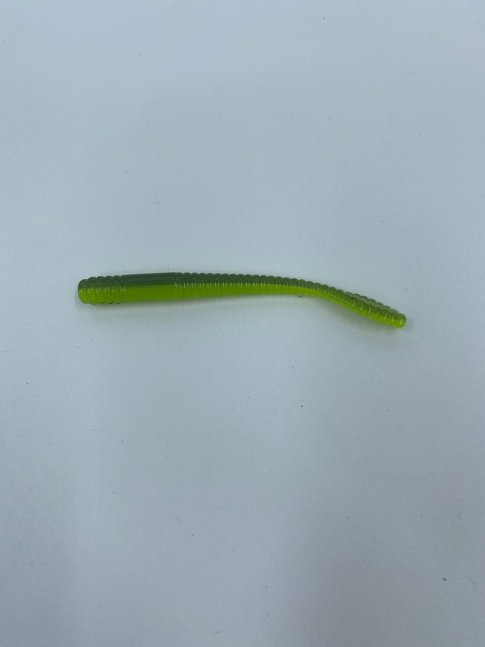 Thumbnail: Flat Paddle Worms