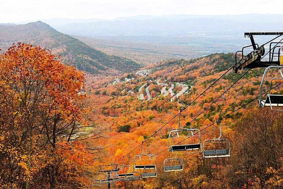 Top Sub-markets for the Shenandoah STR Market