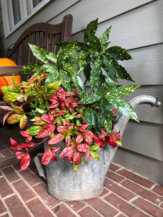 Fall Holiday Staging with cut greenery from the yard