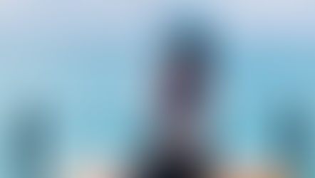 Ongoing Income Structure