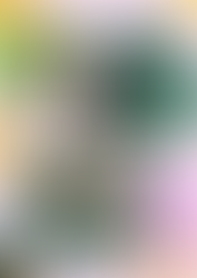 A la vista la 4ª Concentración Baby.