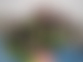 Nuestras minis a escena