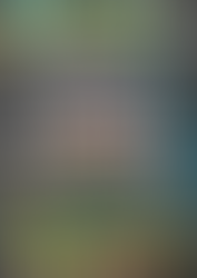 Pablo Madrigal continúa.