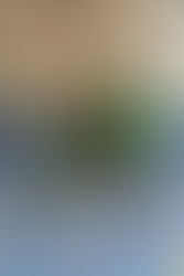 Nuestro Junior masculino aún tiene plazas para jugar la liga...