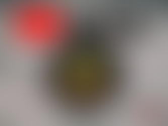 SUSCRÍBETE A NUESTRO CANAL DE YOUTUBE