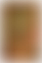 El Club Baloncesto Gelves celebrará su Festival de Navidad 2025 el próximo 28 de diciembre.