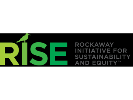 CUNY's RISE Environmentor Internship for High School Students—Is It Worth It?