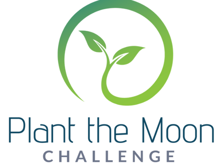 Winning the Plant the Moon Challenge 2023 (PTMC) - 10 Tips to Help You