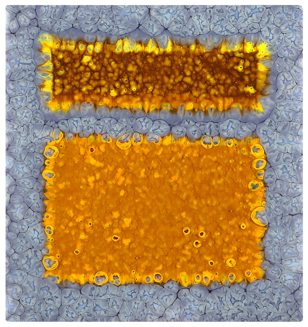 Fields - Violet and Amber