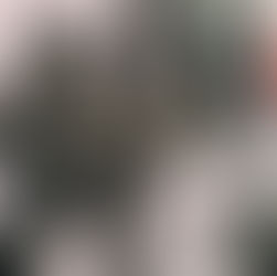 Fotografía, cine y otros productos audiovisuales (2026)