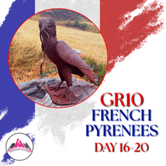 Day 16-20: 🥾Trekking the GR10 - Through the French 🇫🇷 Pyrenees: Le Sentier des Pyrenees. | Chalet-refuge la Grange de Holle to Artigue