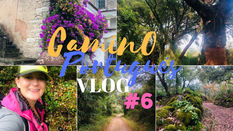 #6 Leaving Tomar and heading to Cortica and Ansiao! (Camino Portugués)