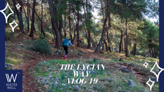 #19 Wild camping, beautiful coves, & more ruins!