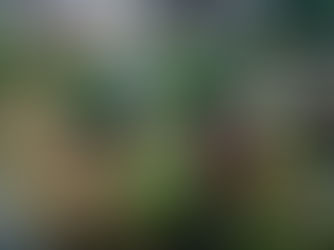 2022 Award of Merit: Salisbury