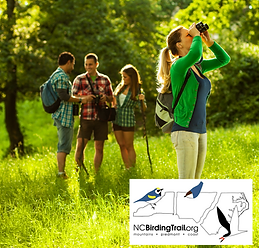 NC Birding Trail