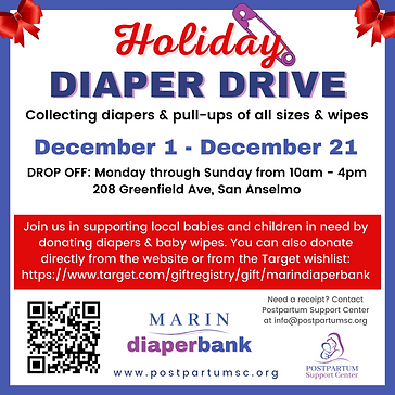 PPSC Holiday Diaper Drive (1).png