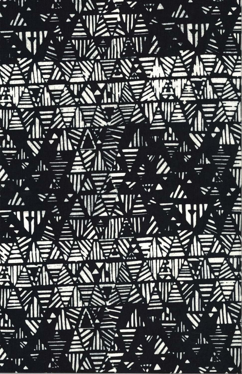 114 163-Zebra