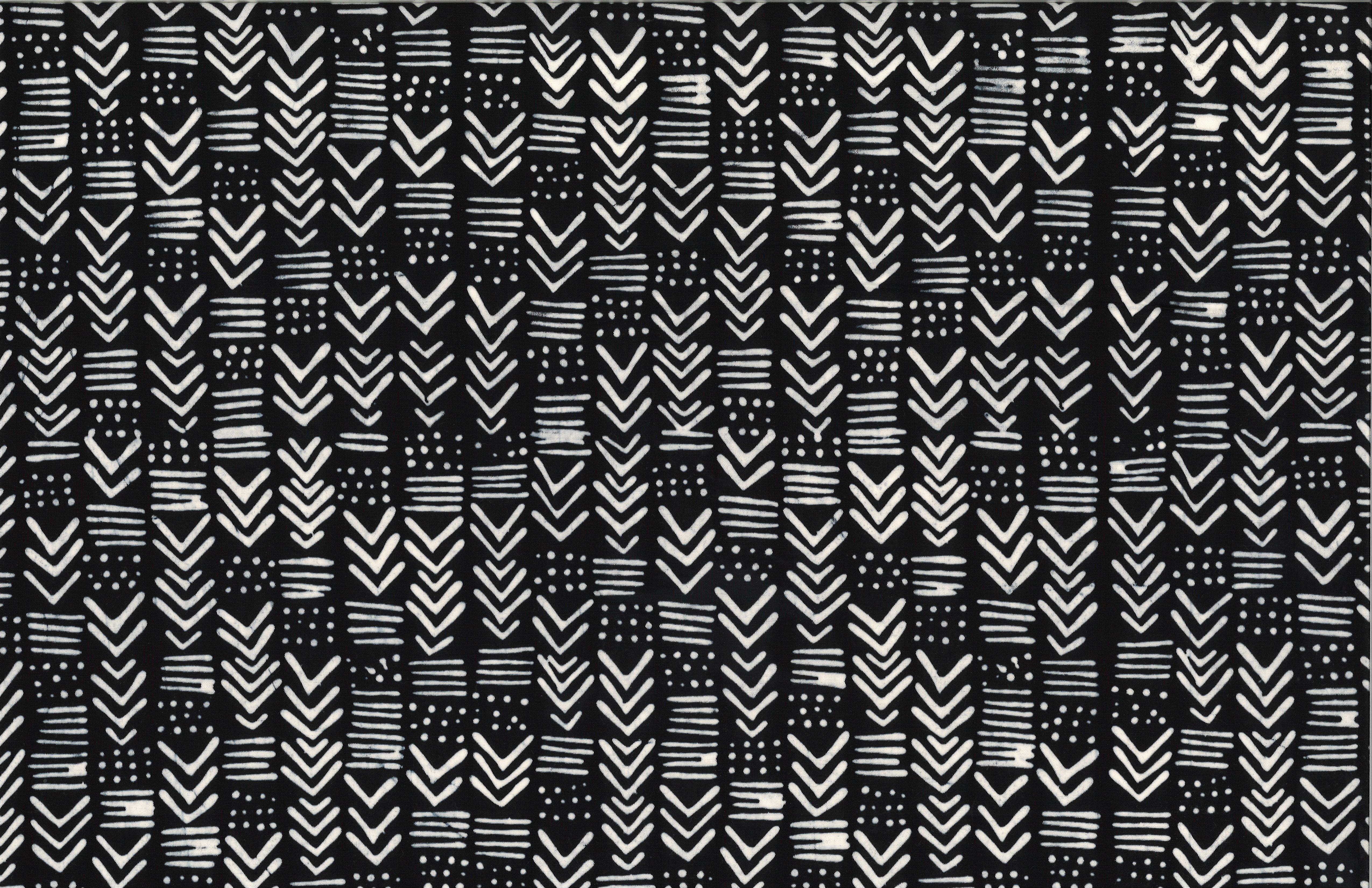 123 163-Zebra
