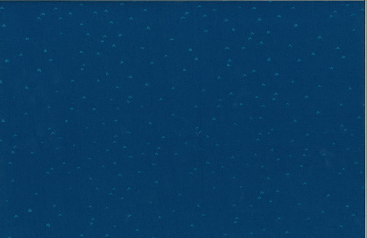 148-360-Waikiki