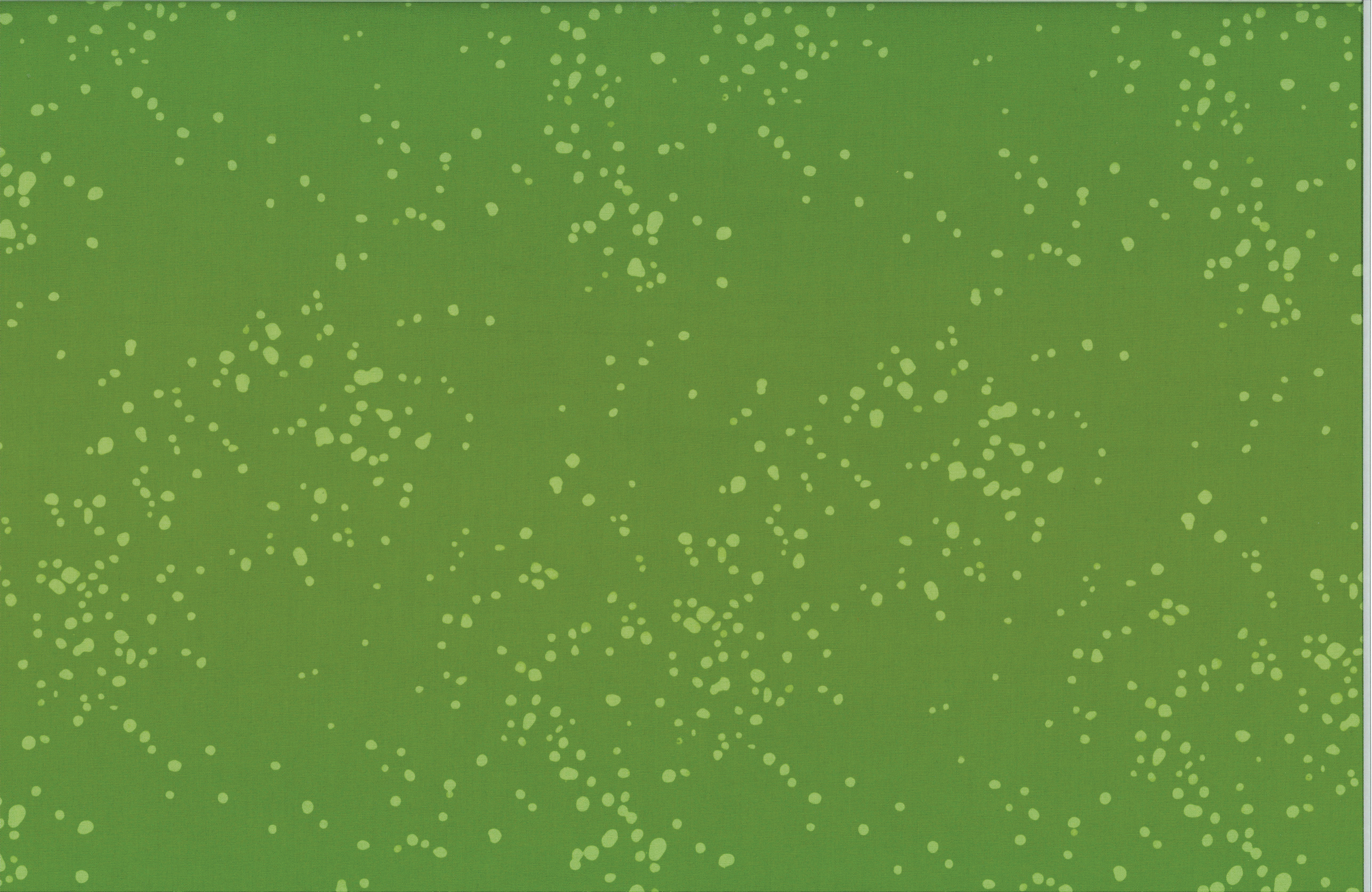 144-418 CHAMELEON