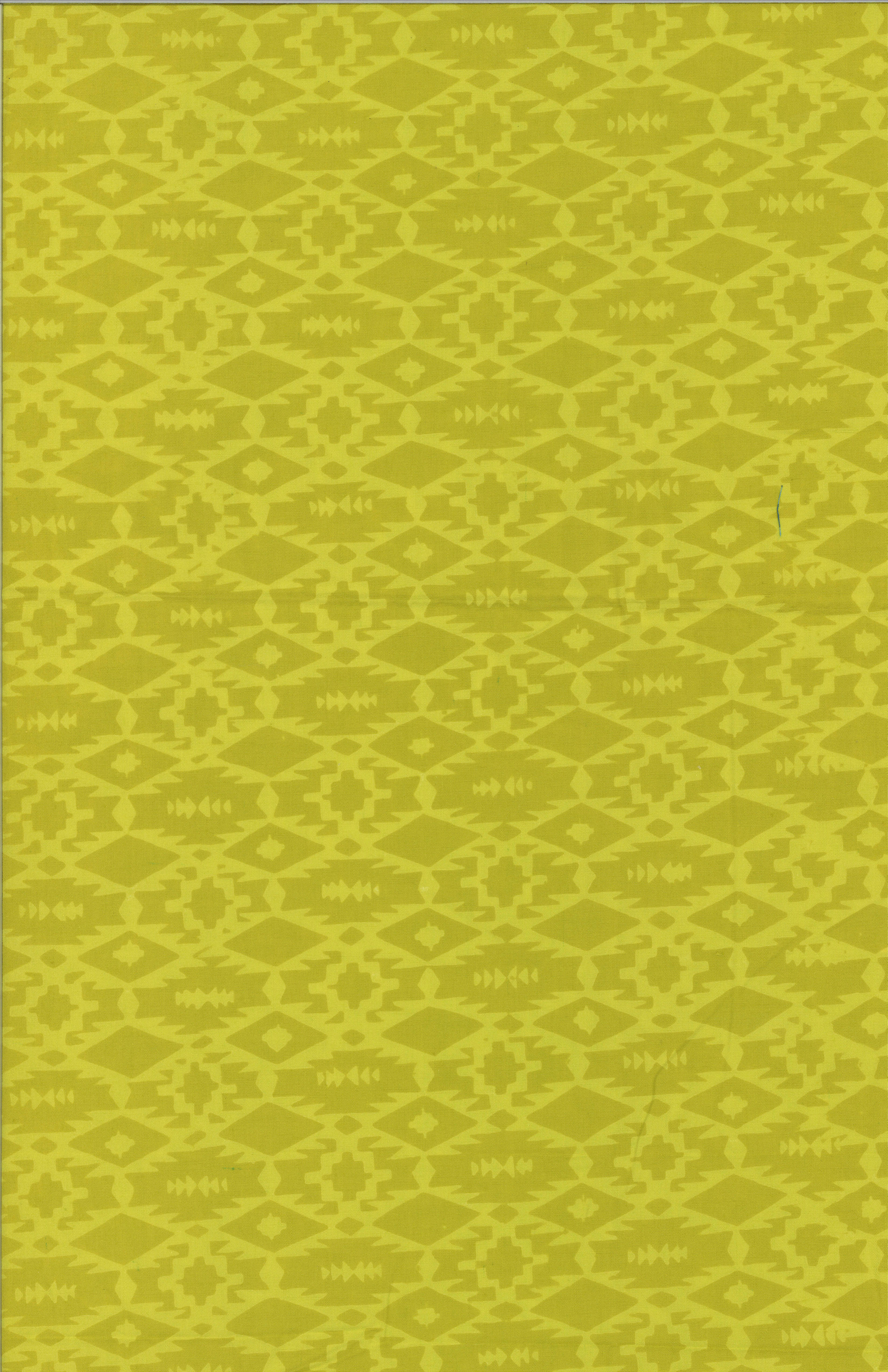121_496_Pineapple