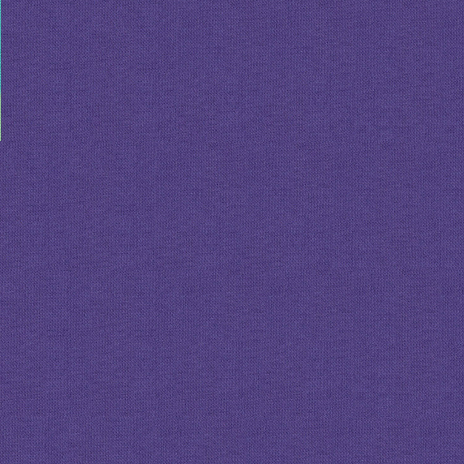 100_14_Purple