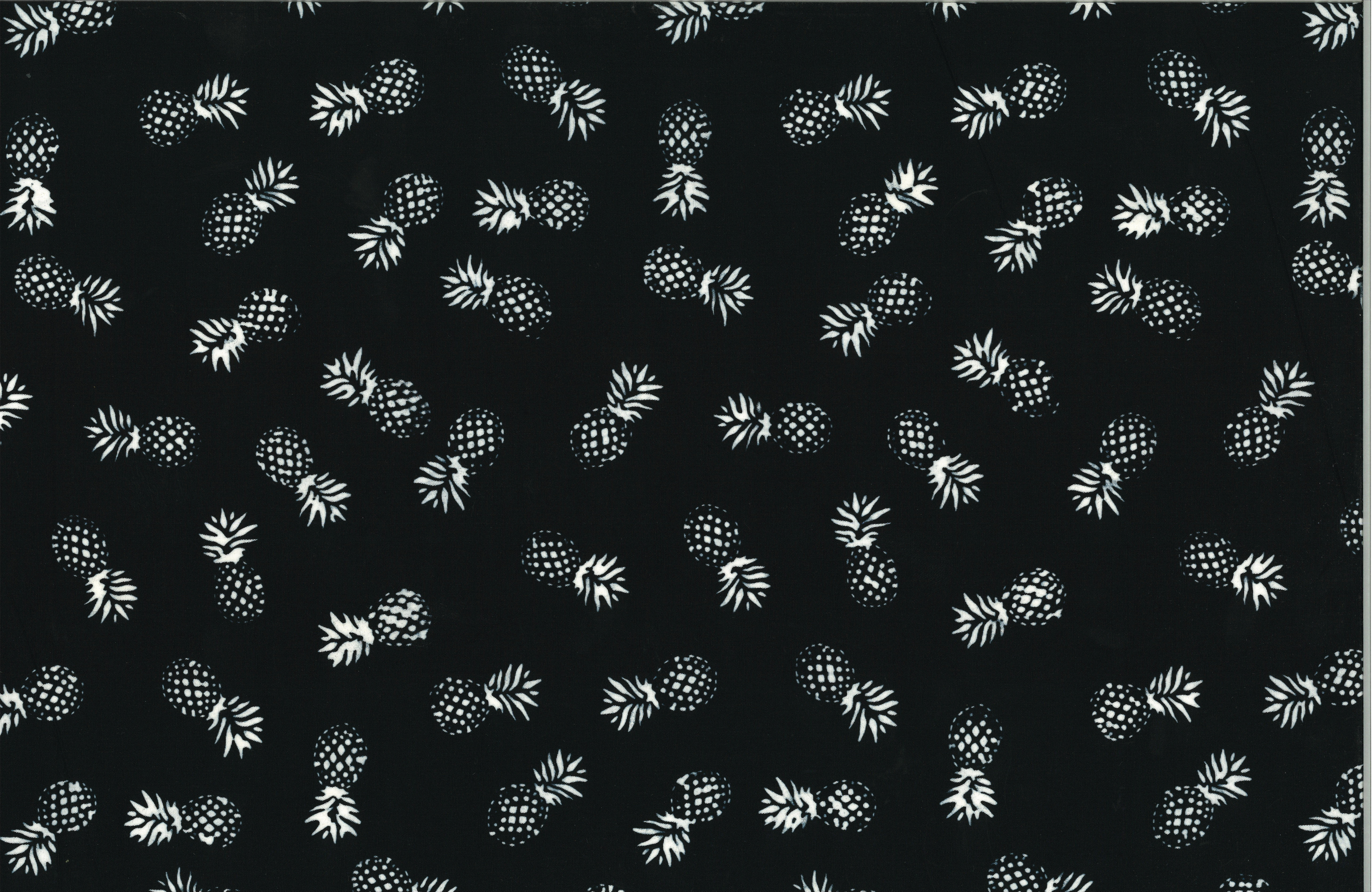 142-163 ZEBRA