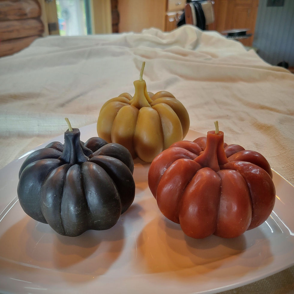 Thumbnail: Beeswax Pumpkin Candle
