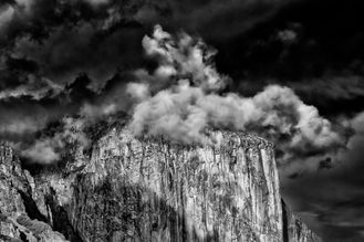 DSC_0271 Viveza SFX Yellow.jpg