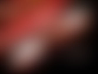 Wat te doen in Amersfoort voor liefhebbers van kunst en cultuur