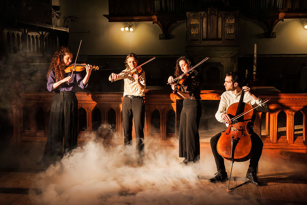 de beste strijkers in nederland met onafhankelijke projecten