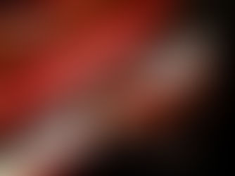 Combinatie van literatuur en muziek in Den Haag