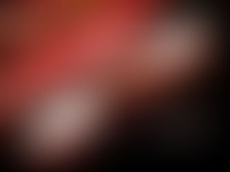 De mooiste klassieke muziekervaringen in provincie Utrecht