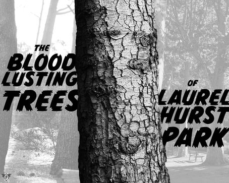 Blood Lusting Trees Reported at Laurelhurst Park