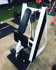 ICARIAN STANDING LEG CURL