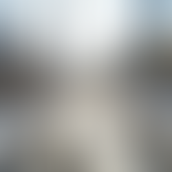 Market Report December 2024