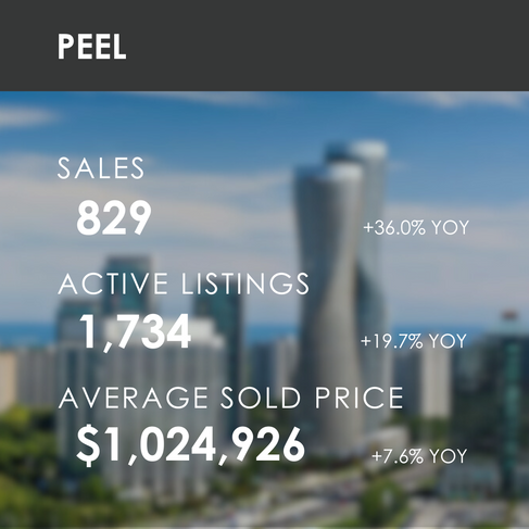 REXIG Peel Real Estate Stats January 2024