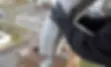 download.jpg.webp